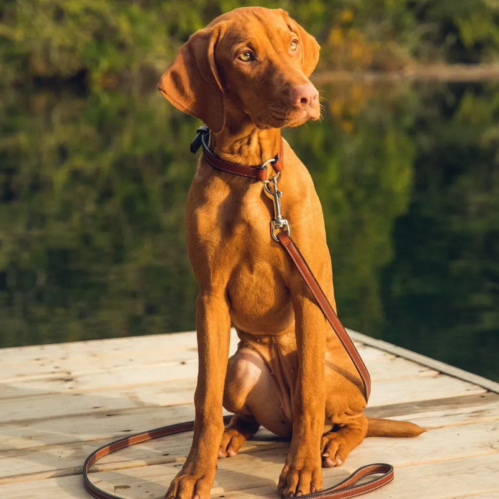 Bentley Leash