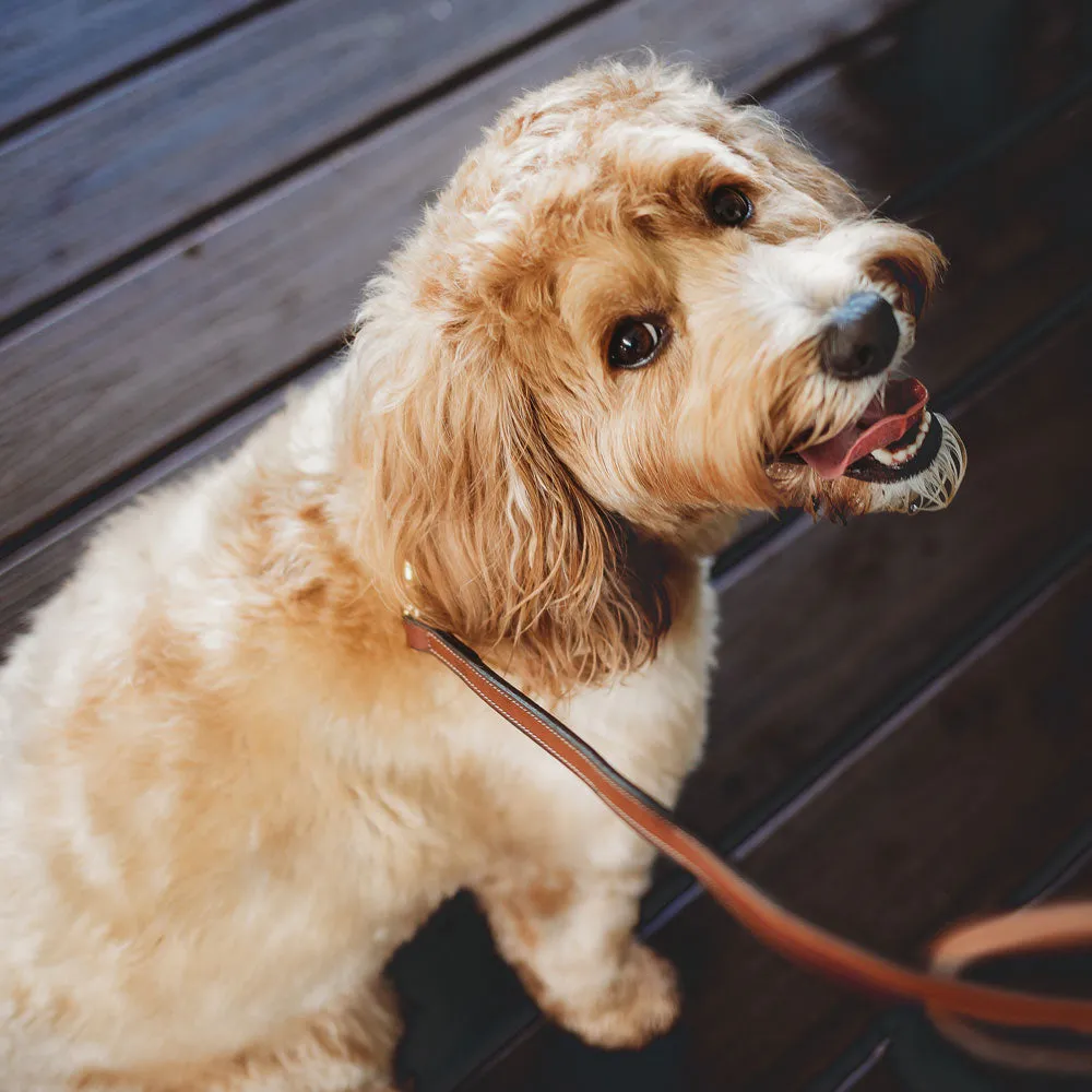 Bentley Leash
