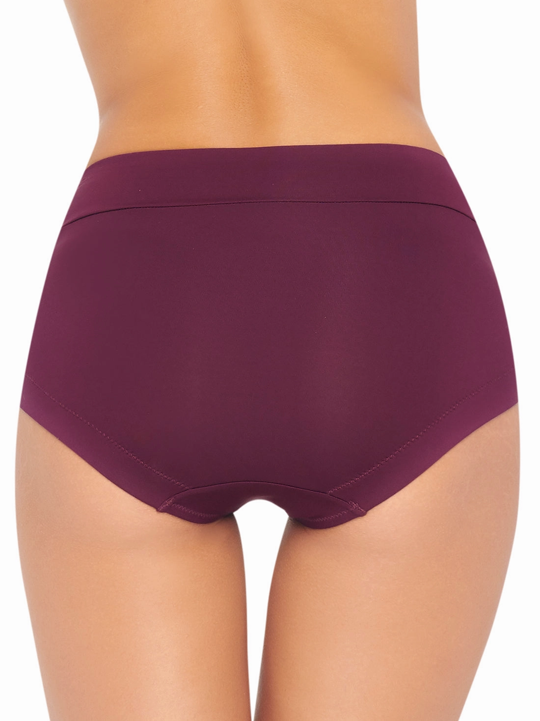 Microfiber Smoothing High Rise Brief Panty 1551