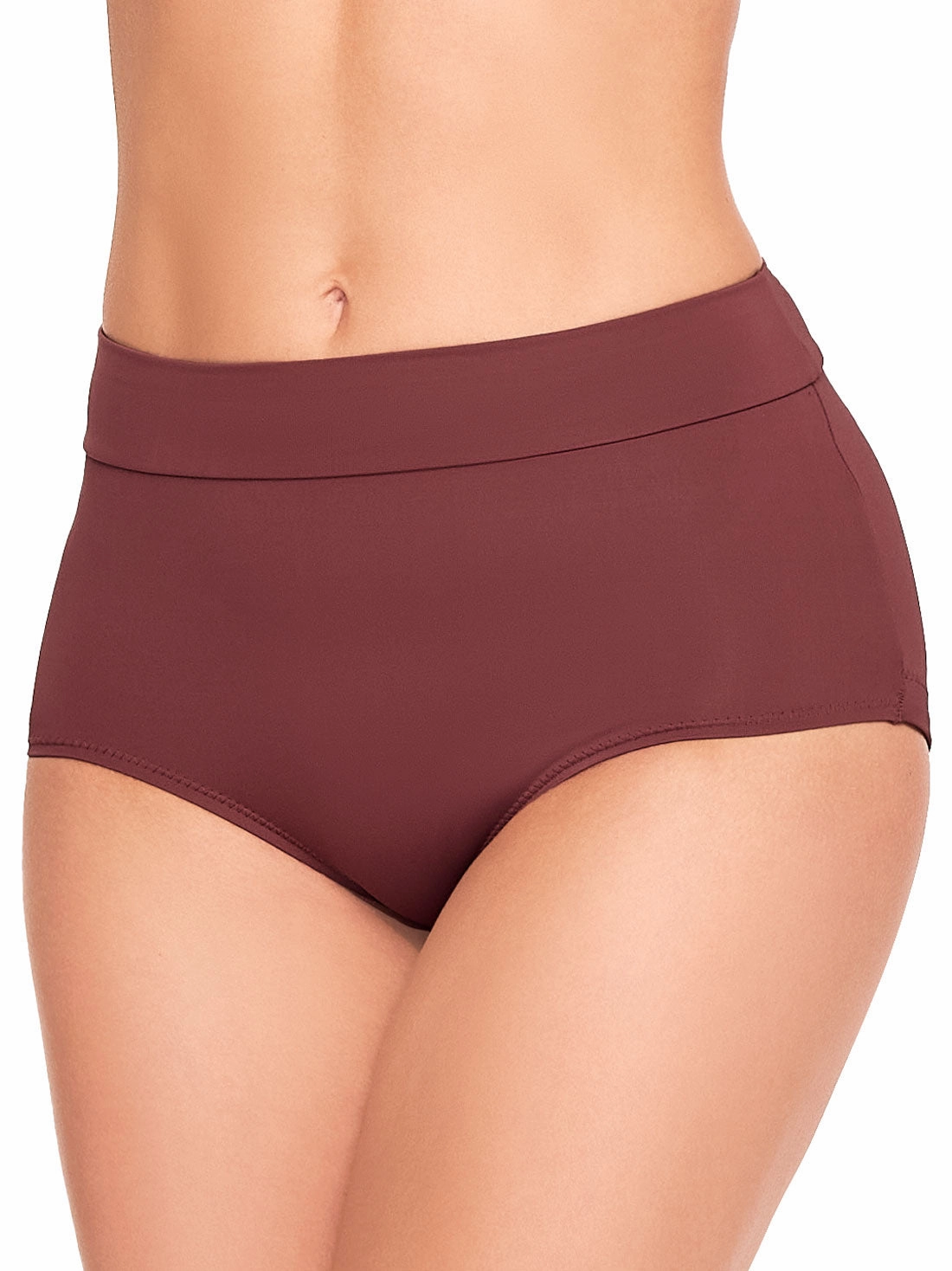 Microfiber Smoothing High Rise Brief Panty 1551
