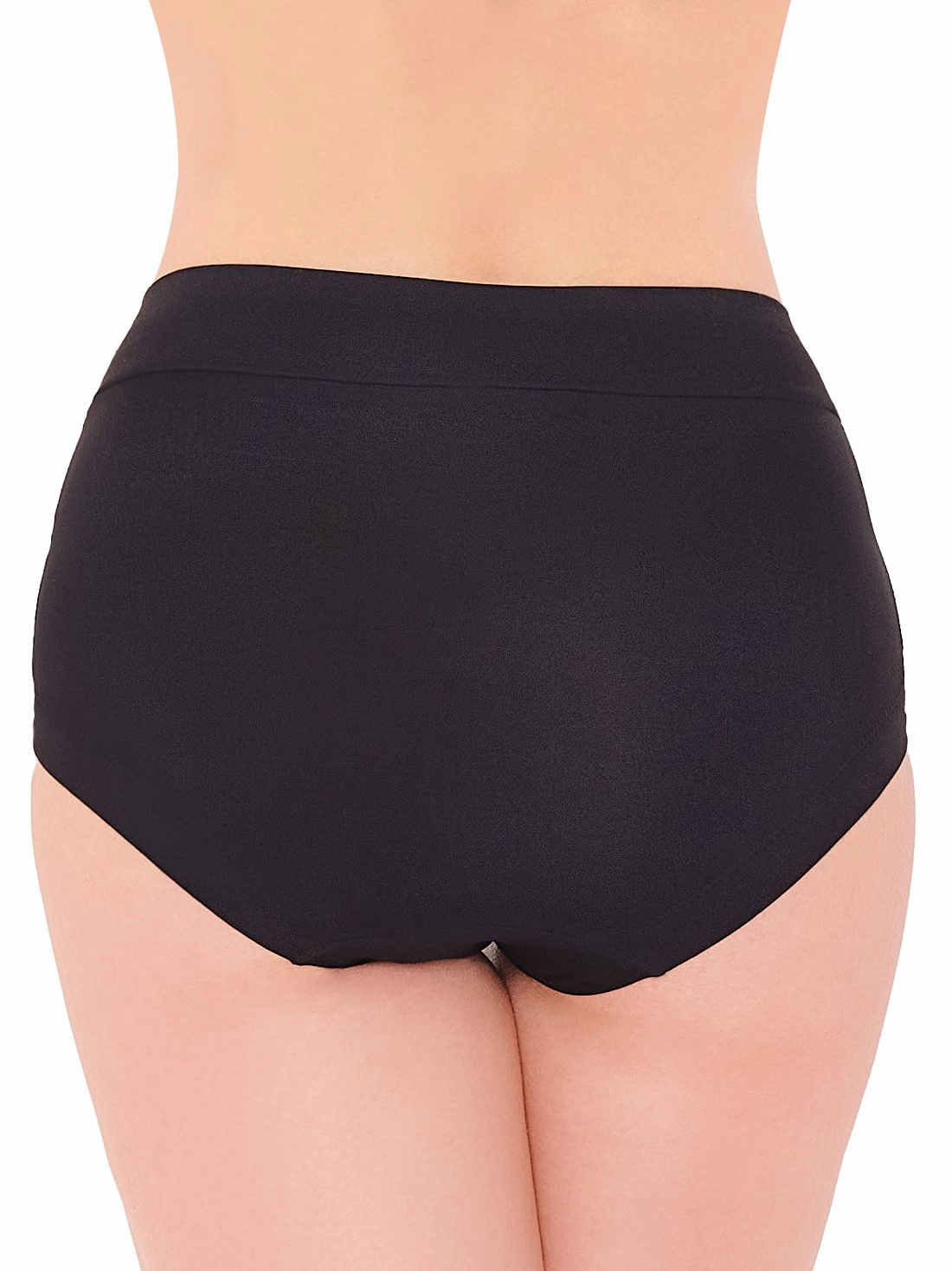 Microfiber Smoothing High Rise Brief Panty 1551