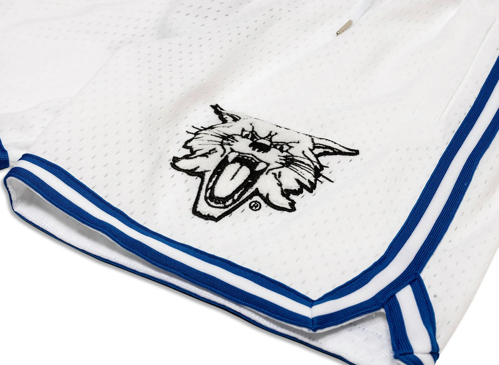 Mitchell & Ness Oneness Kentucky Wildcats Game Day Shorts in White xld