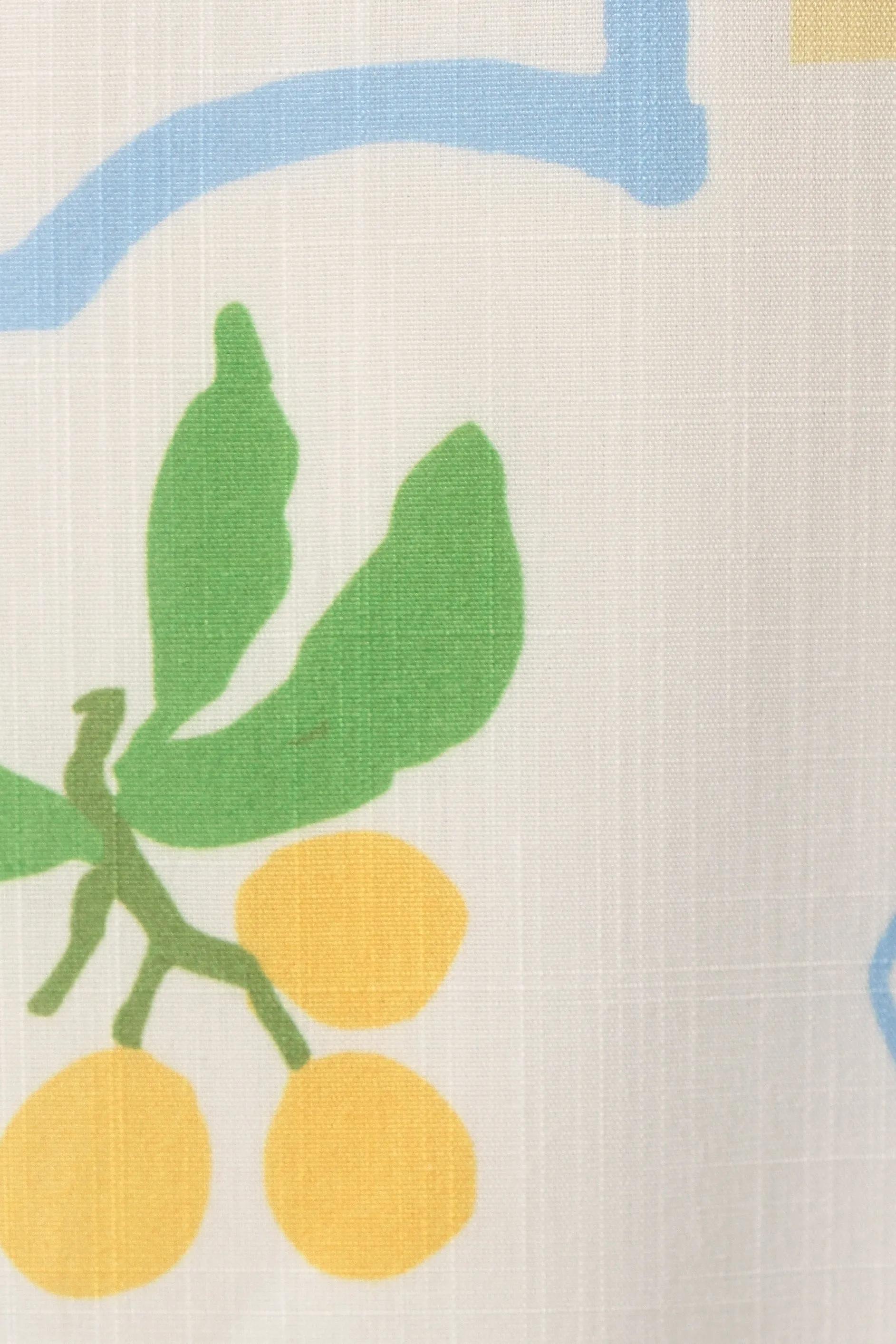 Sole Short Set - Lemon Print