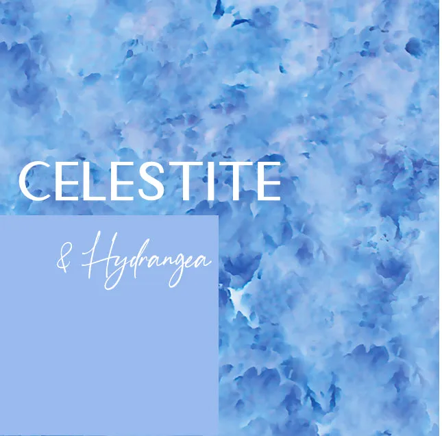 Vahanga Top| Celestite   Hydrangea