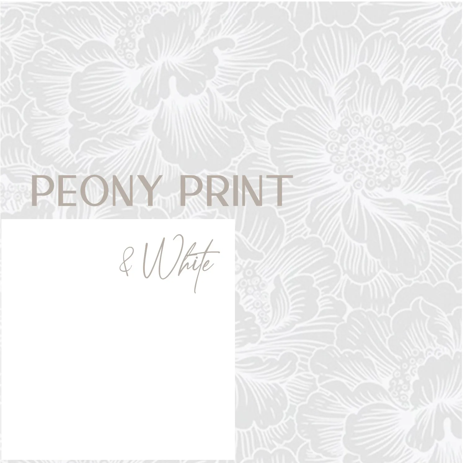 Vahanga Top| Peony   White